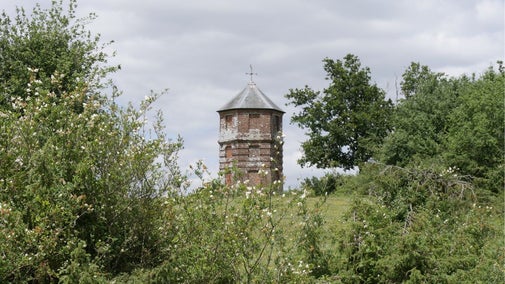 Pepperbox Hill is home to a wide range of fauna, including butterflies.